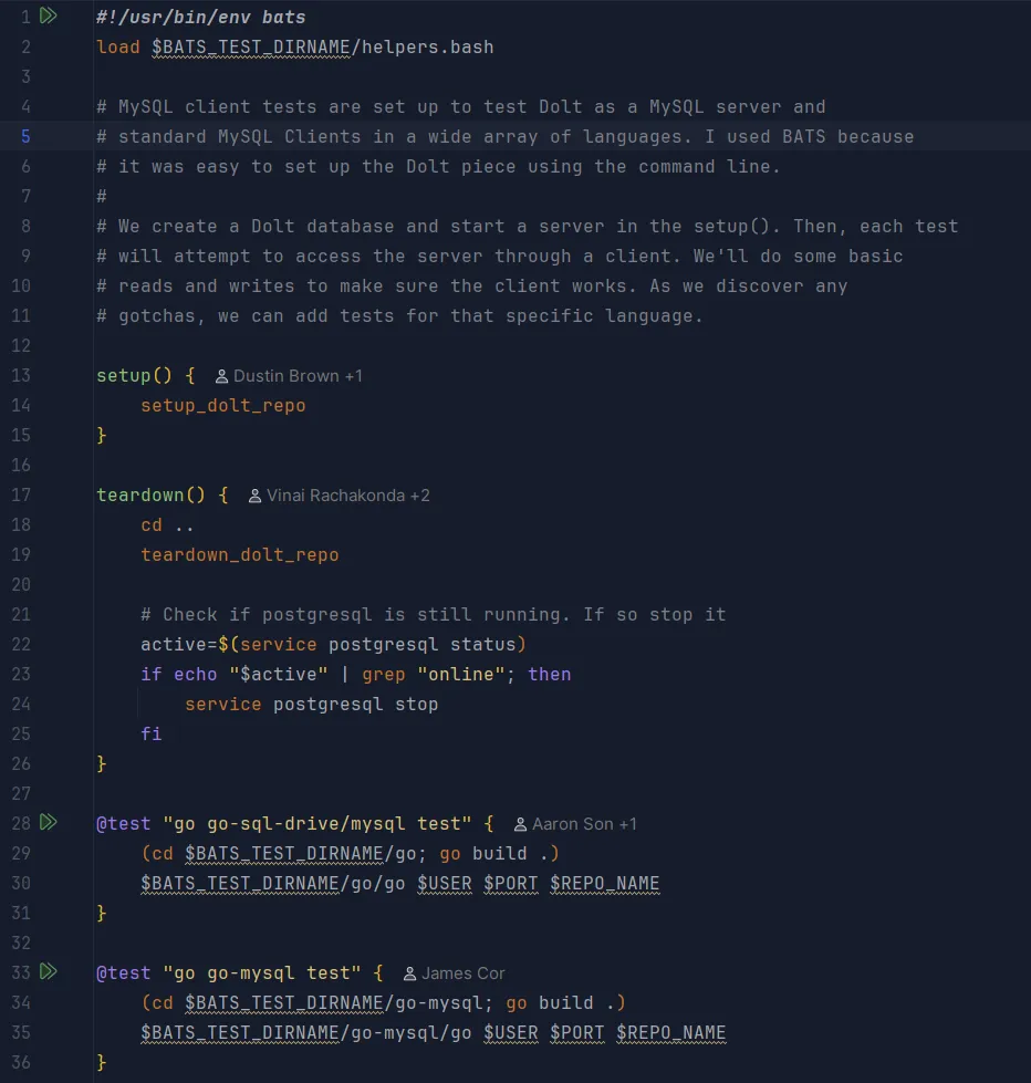 BashSupportPro Bats File Testing Interface