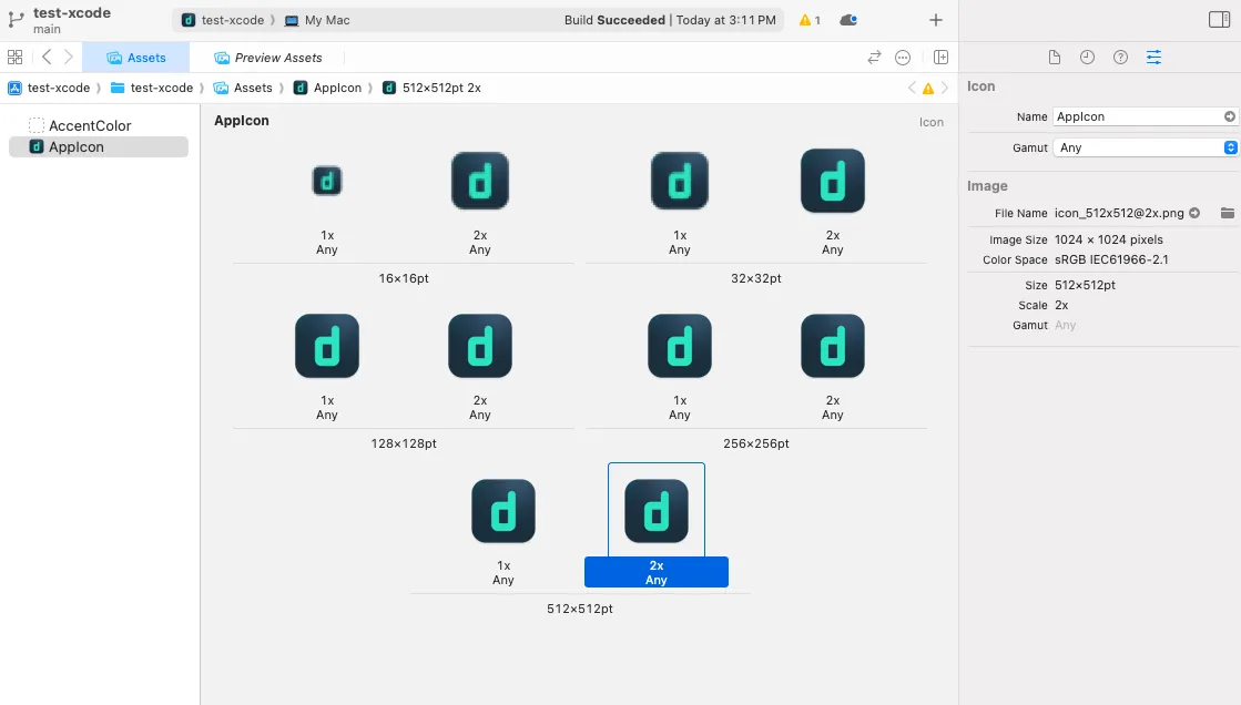 Create asset catalog