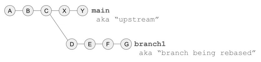 Commit graph with a branch named branch1 branching off of the main branch