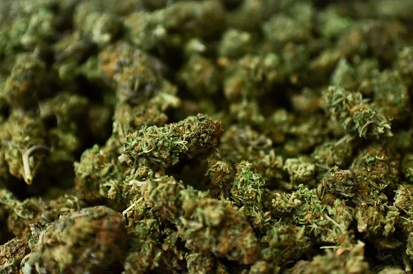 Kind buds, or &#x27;ganja&#x27; if you will