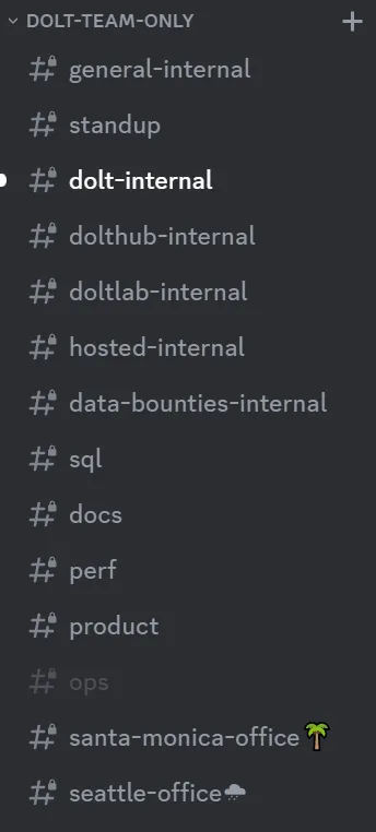 private discord channels