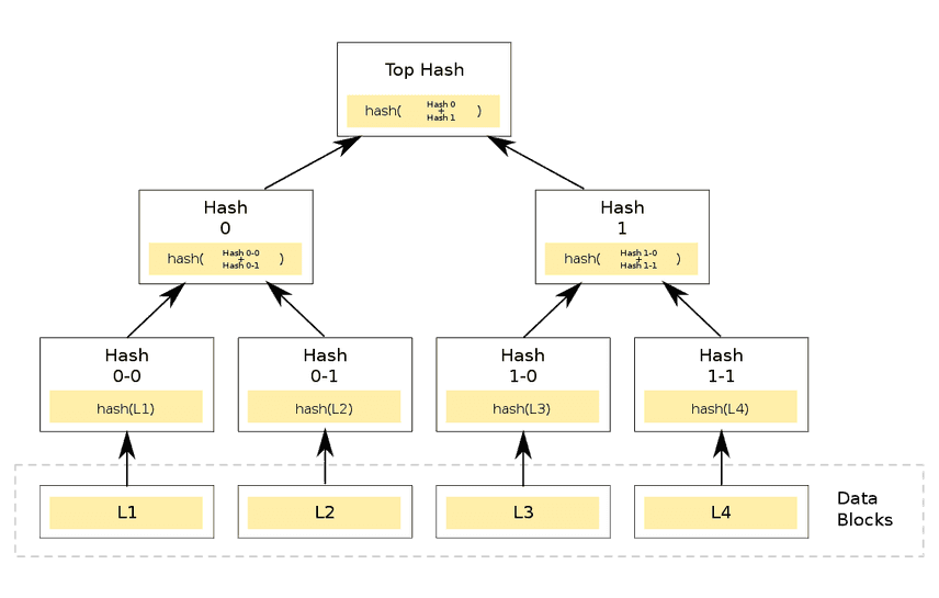 merkle tree