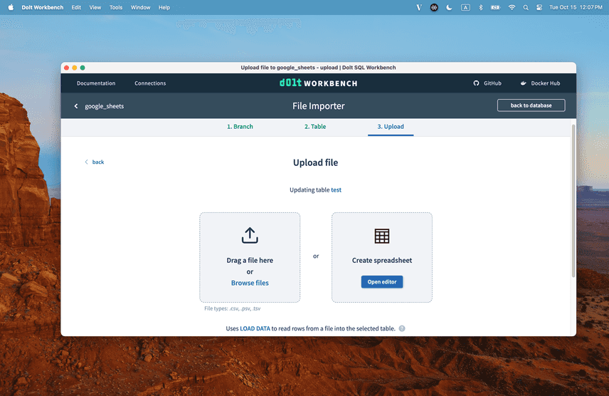 dolt workbench import data
