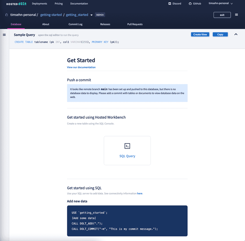 Empty Database Workbench