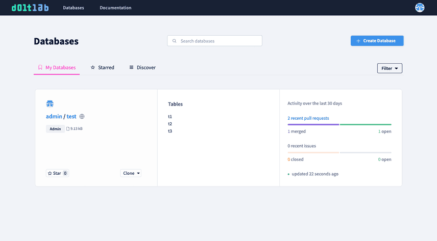 Running DoltLab instance