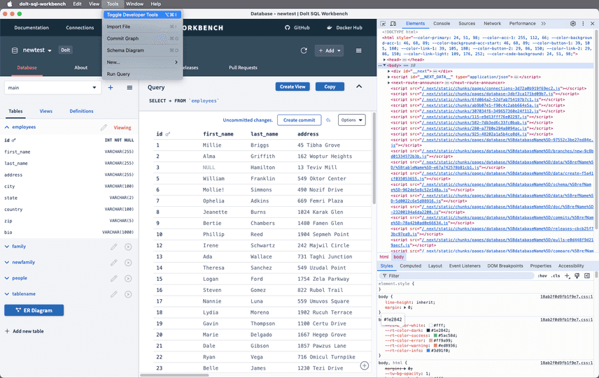 Toggle developer tool