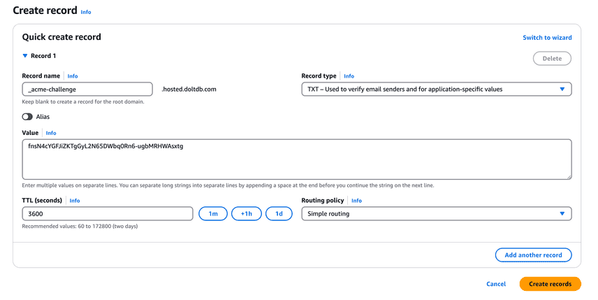 DNS Record