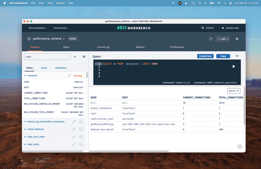 dolt workbench queries