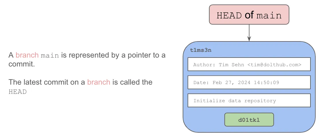 init commit on main